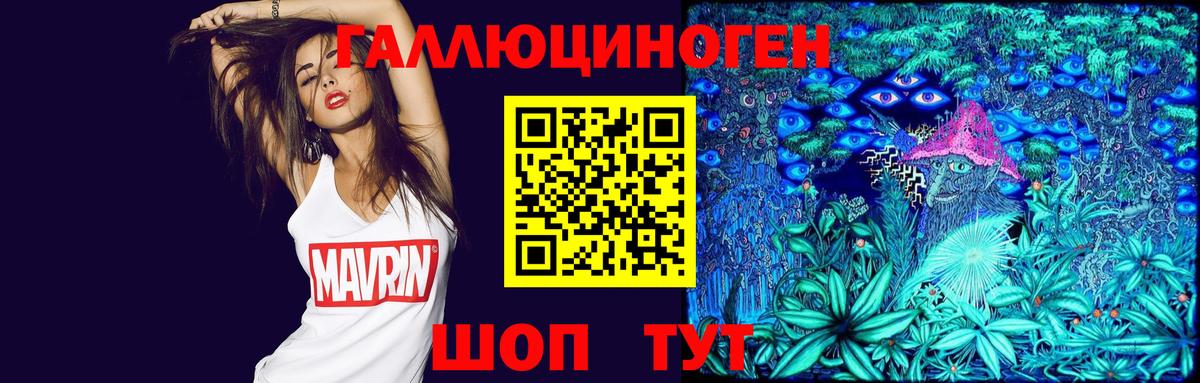 Псилоцибиновые грибы Psilocybe Рыбинск